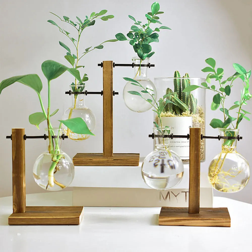 Hydroponic Plant Terrarium Vasevase Decoration Home Glass Bottle Hydroponic Desktop Decoration Office Green Plant Small Potted