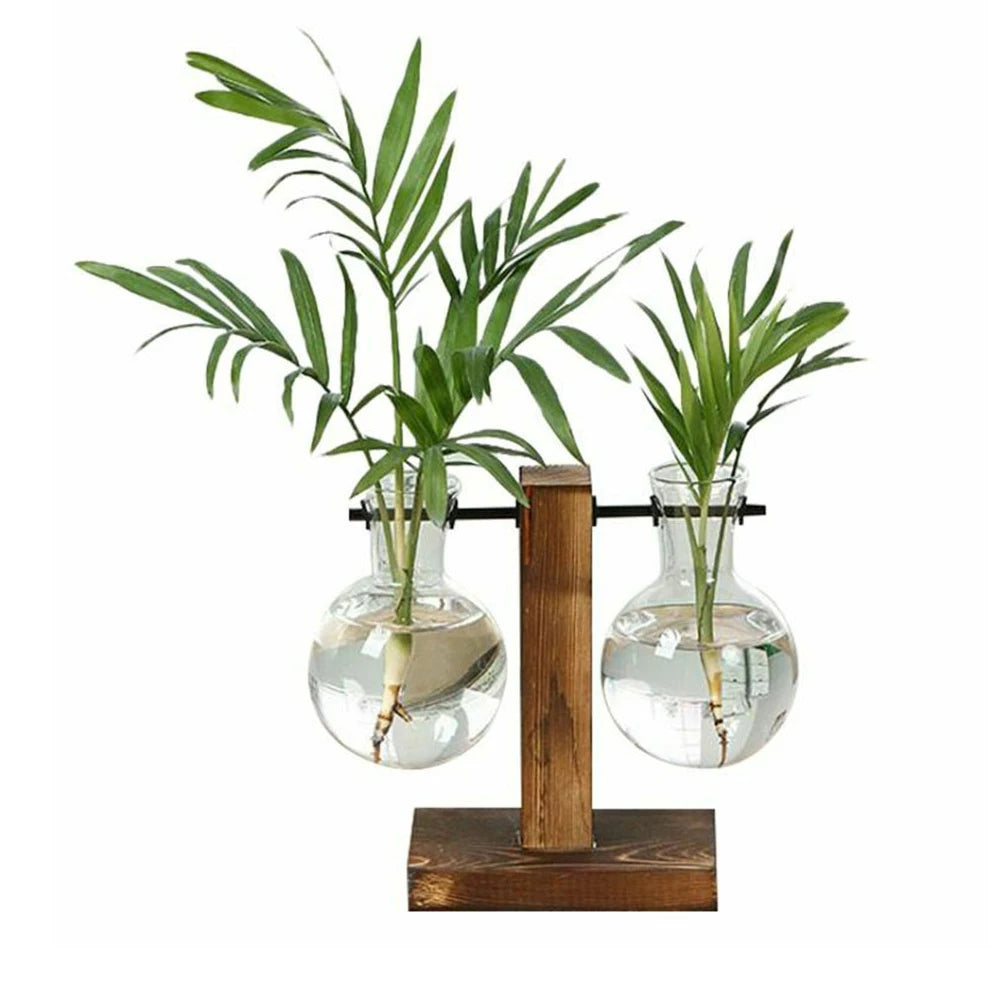 Hydroponic Plant Terrarium Vasevase Decoration Home Glass Bottle Hydroponic Desktop Decoration Office Green Plant Small Potted