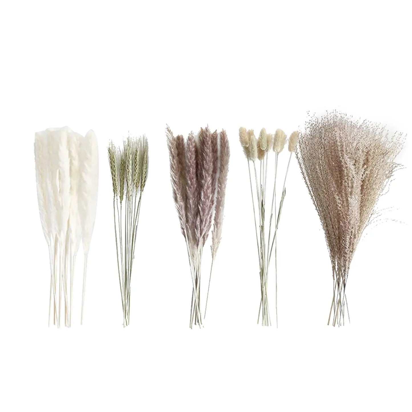 Real Natural Dried Flower Bouquet Pampas Reed Small Reed Rabbit Tail Grass Home Decor Mix and Match Dried Flower Bouquet