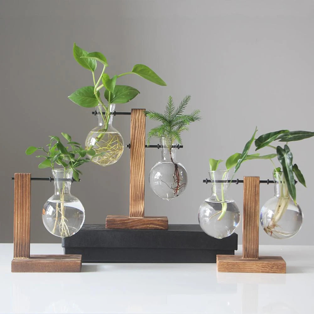 Hydroponic Plant Terrarium Vasevase Decoration Home Glass Bottle Hydroponic Desktop Decoration Office Green Plant Small Potted