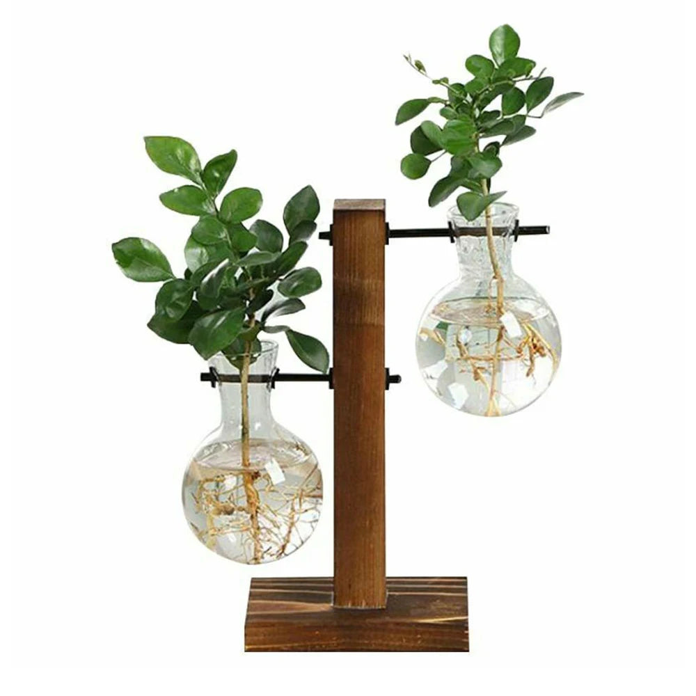 Hydroponic Plant Terrarium Vasevase Decoration Home Glass Bottle Hydroponic Desktop Decoration Office Green Plant Small Potted