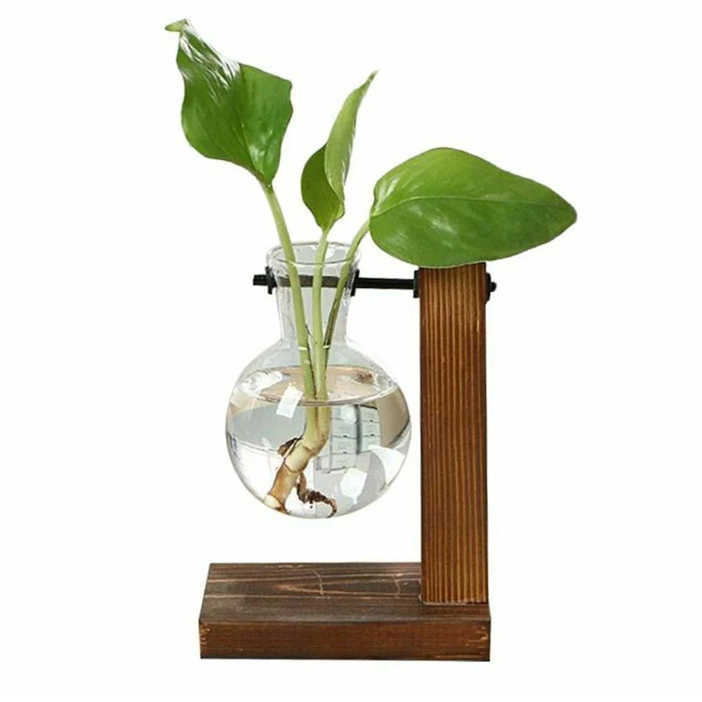 Hydroponic Plant Terrarium Vasevase Decoration Home Glass Bottle Hydroponic Desktop Decoration Office Green Plant Small Potted