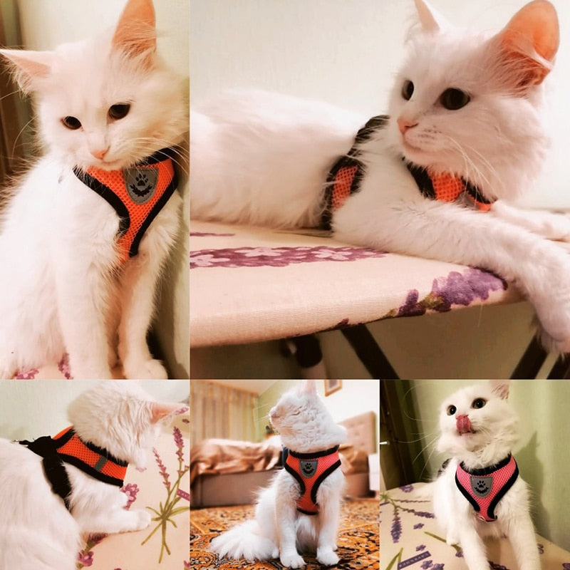 Cat Dog Harness Adjustable Vest Walking Lead Leash For Puppy Dogs Collar Polyester Mesh Harness For Small Medium Dog Cat Pet