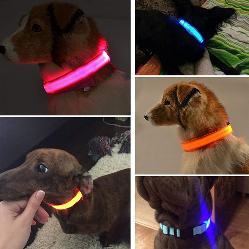 LED Glowing Dog Collar Rechargeable Luminous Collar Adjustable large Dog Night Light Collar Pet Safety Collar for Small Dogs Cat