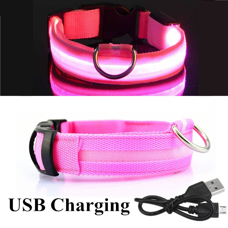 LED Glowing Dog Collar Rechargeable Luminous Collar Adjustable large Dog Night Light Collar Pet Safety Collar for Small Dogs Cat