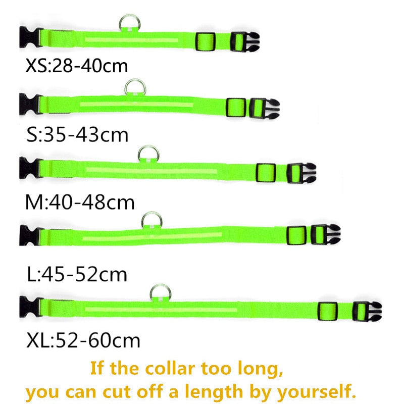 LED Glowing Dog Collar Rechargeable Luminous Collar Adjustable large Dog Night Light Collar Pet Safety Collar for Small Dogs Cat